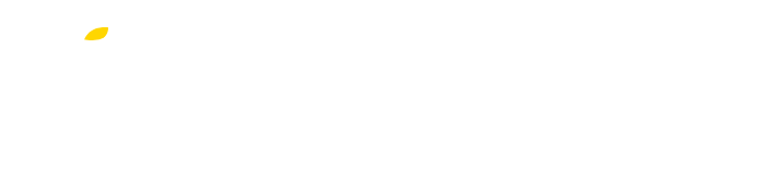 Silent Swap Logo